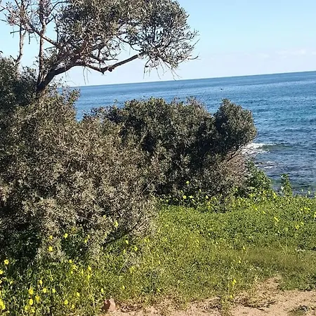 Stella Maris - Abba Urci